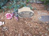 image of grave number 619090